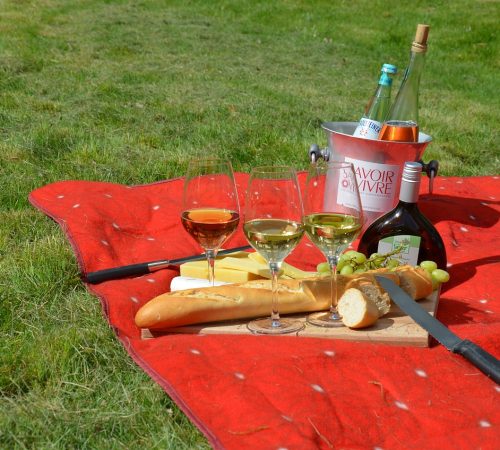 picnic, savoir vivre, wine