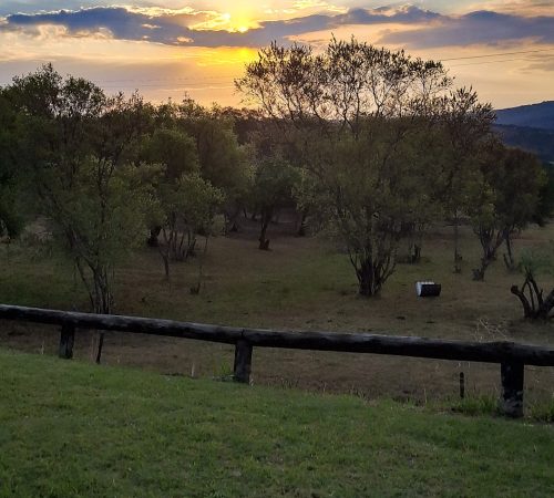 sunset-activity